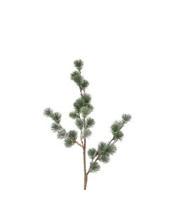 Evigheds Ceder Gran Støvet Grå H78cm