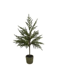 Evigheds Ceder Træ Støvet Grå i Potte H79cm