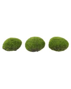 Evigheds Mos Puder 3stk. Lys Grøn