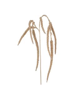 Evigheds Amaranthus Champagne H96cm