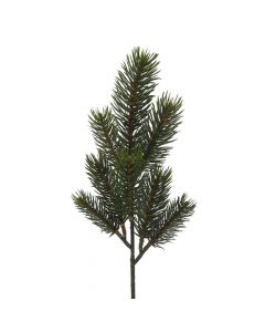 Evigheds Grangren 40cm