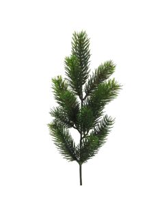 Evigheds Grangren 50cm