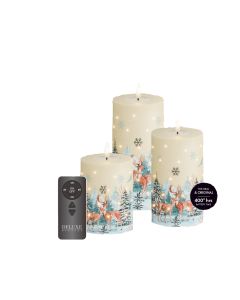 Deluxe LED Giftbox 3lys - Vinter print